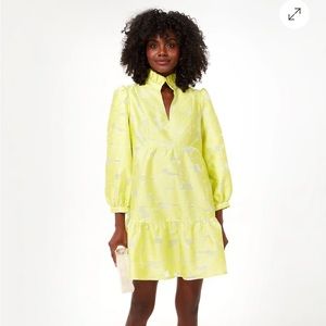 Tuckernuck, Fil Coupe Palmerston Dress, Color Citron, Size L